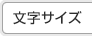 文字サイズ